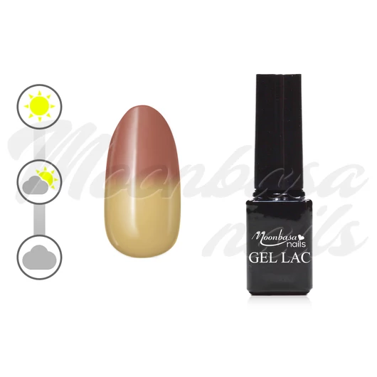 Solar effect gel lac 5ml #431