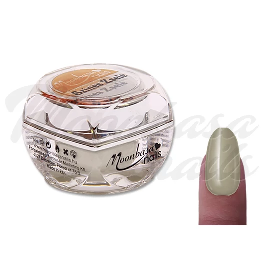 Gel color 5g-A81  4488